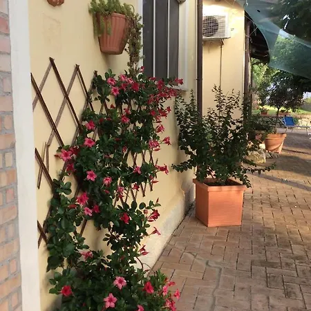 Casa Vacanze Parco Degli Ulivi Gizzeria